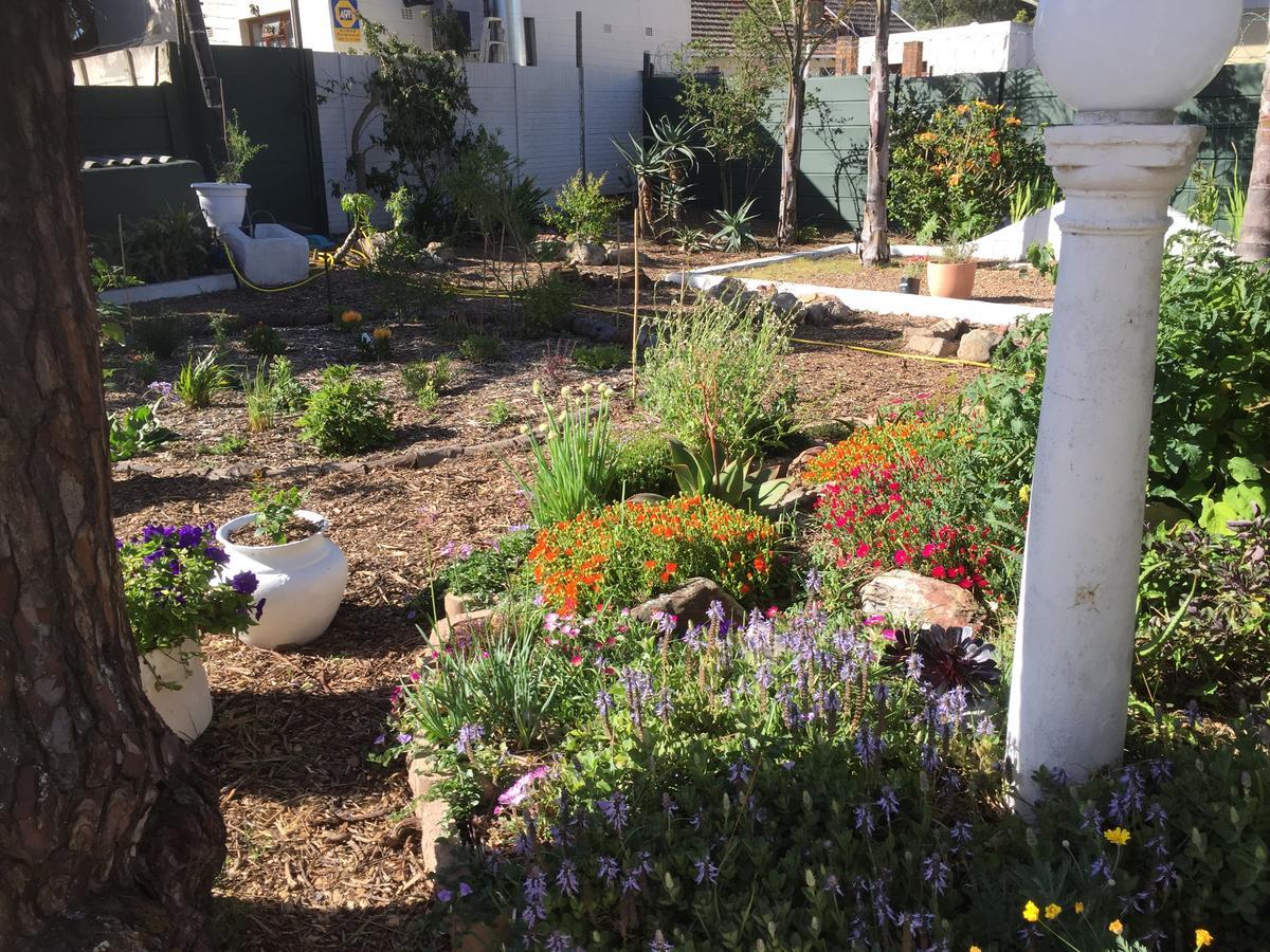 Howards End Manor B&B Cape Town Luaran gambar